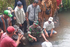 Warga Swadaya Tabur Benih Ikan di Sungai