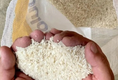 Kemendag panggil produsen beras untuk tarik beras tak sesuai mutu