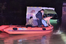 Mobil Boks Terjebak Banjir di Jalan OKU Selatan