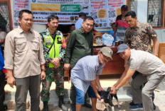 Cegah Rabies, Dinas Peternakan Terus Himbau Pimilik Anjing Divaksin