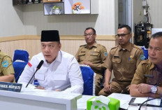 Wakil Bupati OKU Selatan Sampaikan Situasi Pilkada ke Gubernur Sumsel