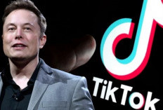 TikTok Dijual ke Elon Musk? Ini Klarifikasi TikTok