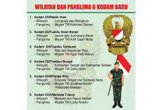 TNI Resmikan 6 Kodam Baru, Wilayah Kodam II/Sriwijaya Berkurang 3 Provinsi