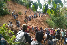 Akses Jalan ke Desa Tanjung Harapan Tertutup Longsor, Pemkab OKU Selatan Siapkan Penanganan