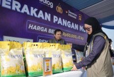 Sebanyak 2.064 ton beras SPHP disalurkan di OKU, OKU Timur dan OKU Selatan hingga September 2025