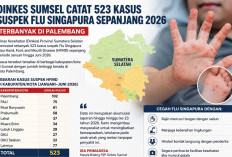 Dinkes Sumsel Catat 523 Kasus Suspek Flu Singapura Sepanjang 2026, Terbanyak di Palembang