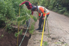 BPBD OKU Selatan Tinjau Jalan Amblas di Desa Tenang, Warga Diminta Waspada