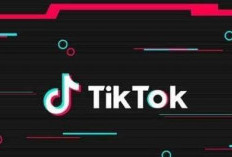 Cara Jadi Afiliator TikTok Go