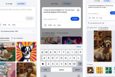 Microsoft Rilis Bing AI Video Creator Gratis, Didukung Teknologi Sora dari OpenAI