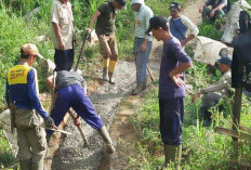 Warga Desa Aromantai Pulau Beringin Swadaya Cor Jalan Menuju Kebun