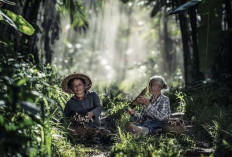 Pemerintah Siapkan Hutan Adat untuk Penyerapan Karbon