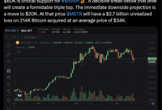 Peter Schiff Mengecam Potensi Penurunan Harga Bitcoin hingga $20.000