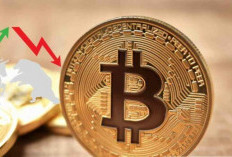 Harga Bitcoin, XRP, dan Dogecoin Anjlok, Pasar Kripto Alami Tekanan