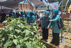 TP PKK OKUS Ikuti Penilaian 10 Program Pokok Tingkat Sumsel