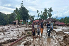 Aktivitas Akademik Pulih Usai Bencana di Sumatra