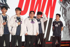 Hasil dan Klasemen MPL Indonesia Season 17 Week 8: Evos dan Dewa United Esports Kejar-Kejaran