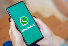 WhatsApp Luncurkan Fitur Terjemahan Chat, Sudah Coba?