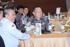 Pemkab OKU Selatan Ikuti Focus Group Dicussion