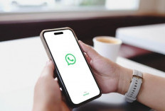 WhatsApp Uji Coba Fitur Username, Kirim Pesan Tanpa Nomor Telepon