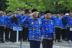 Wabup Misnadi Pimpin Upacara HKN, Tegaskan Peningkatan Pelayanan dan Pemenuhan SPM