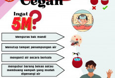Kasus DBD di Sumsel Capai 1.426 Orang, 11 Meninggal Dunia; Palembang Jadi Wilayah Tertinggi