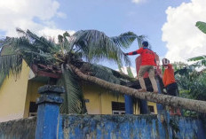 Puting Beliung Terjang OKU Selatan, Empat Sekolah Rusak dan Fasilitas Umum Terdampak