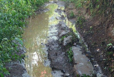Nunggu Pemerintah Kelamaan, Warga Lawang Agung Pilih Gotong Royong