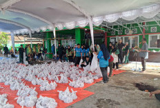 Kemenag OKU Selatan Sembelih 12 Ekor Sapi, Daging Disebar ke Seluruh Kecamatan