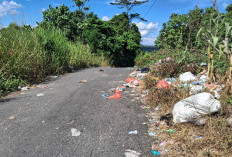 Sampah Dijalan Menuju Desa Pendagan Kembali Menjamur
