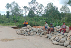 Pasang Beronjong Jalan Putus di Desa Sinar Marga Mekakau Ilir