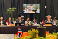 Tahun Ini, Indonesia Sumbang Rp32,5 Miliar untuk Palestina