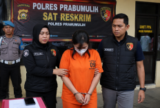 Wanita di Prabumulih Ditangkap Usai Tipu Anak Petani Rp60 Juta dengan Iming-iming Kerja