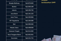 Data Gaji Guru PPPK Paruh Waktu Jadi Perhatian Publik, Pemerintah Lakukan Pendataan Nasional