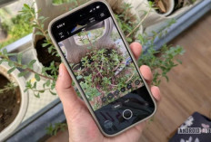 Indigo Hadir di iPhone: Aplikasi Kamera Canggih dari Pencipta GCam