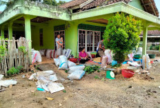 Panen Raya, Harga Jual Duku Masih Bertahan di Rp 5.000