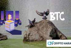 Apakah Pemilu AS dan ETF Bisa Dorong Bitcoin ke US$100.000?