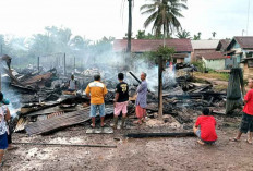 Diduga Korsleting Listrik, Tujuh Rumah Warga di Sungai Lilin Ludes Terbakar