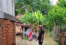 Banjir rendam puluhan rumah warga Desa Tanjung Dalam Muara Enim