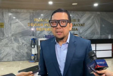 Hasan Nasbi Mundur Dari Kepala Kantor Komunikasi Presiden