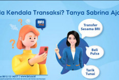 Langkah-Langkah Menggunakan Asisten Virtual BRI 