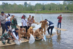 Pemkab OKUS Taburkan Ribuan Benih Ikan di Kisam Tinggi
