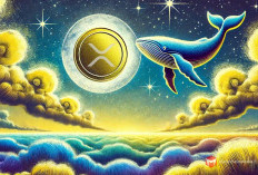 Whale XRP Makin Aktif, Target US$10 di Jangka Panjang