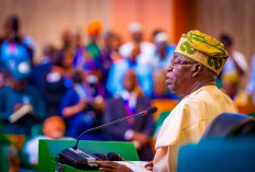 Lunasi Lebih Cepat, Nigeria Bebas Utang IMF