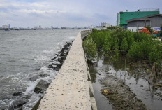 Proyek Raksasa Dimulai! Giant Sea Wall Siap Lindungi Jutaan Warga Pesisir