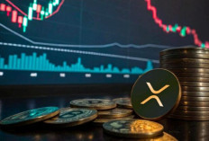 Expert: 1000 XRP Cukup Untuk Hidup, HODL Hingga 2029!