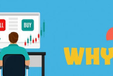 Bitcoin Terkunci di Kisaran US$ 93.000 – US$ 95.000, Apa yang Ditunggu Trader?