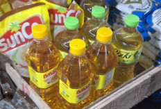 Harga Minyak Goreng Masih Tinggi, Kenaikan Terjadi di Ratusan Daerah