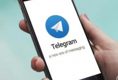 Telegram ancam tinggalkan Prancis jika dipaksa beri akses 
