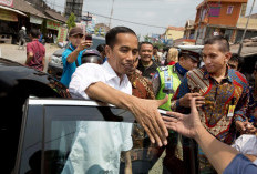 Pengamat Hendri Satrio: Safari Politik Jokowi Punya Misi Pribadi, dari Tes Popularitas hingga Tegaskan Posisi