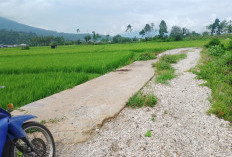 Proyek Jalan Desa Tanjung Jati Diduga Dikerjakan Asal Jadi